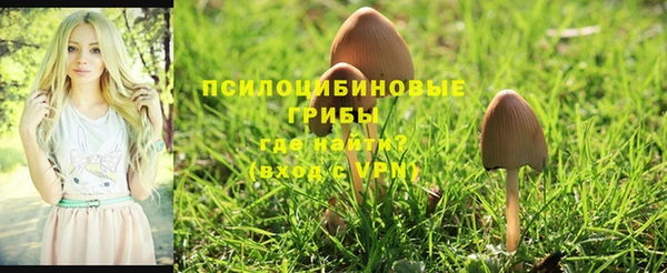 бутират Калининец