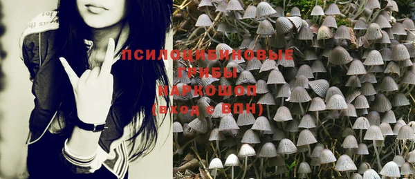 хмурый Козельск