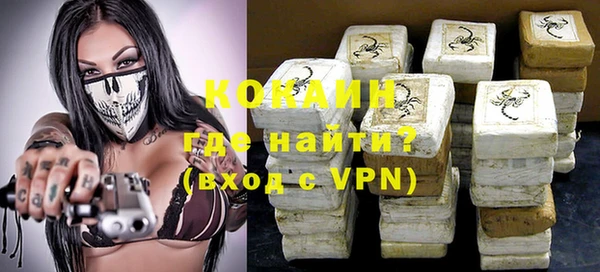 гидра Нестеровская