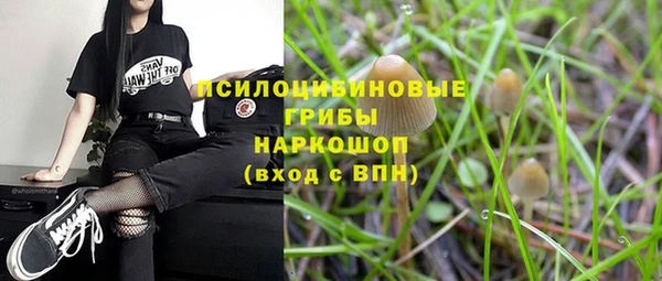 а пвп мука Козловка