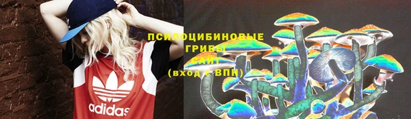 а пвп мука Козловка