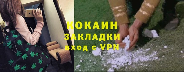 гидра Нестеровская