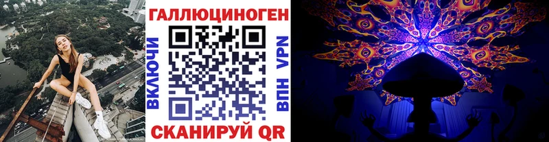 Купить где  Любань  Галлюциногенные грибы мицелий 
